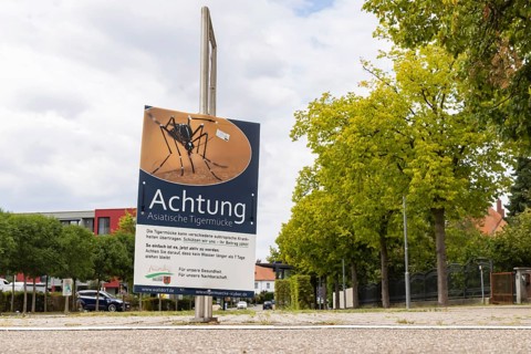 Attention Asian tiger mosquito (Aedes albopictus) . Poster with hazard warning and rules of