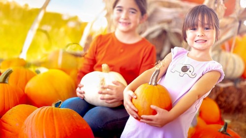 Two girls holding their pumpkins at A pumpkin patch on a fall day