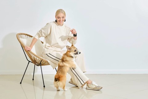 A joyful woman in a light outfit interacts with her playful corgi in a stylish indoor space. The