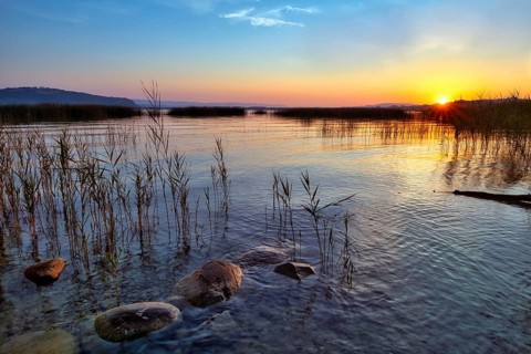 Atmospheric sunrise on Lake Murten, reed belt and stones in the water, Canton of Fribourg,