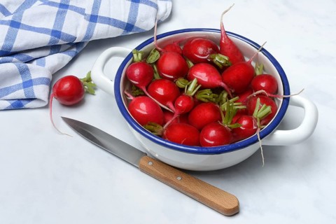 Radish in skin, in water, Raphanus sativus