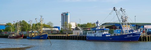 Fishing boats in the cutter harbour, outer harbour, panorama format, Husum, North Frisia, North