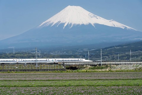 Mount Fuji with the Shinkansen train in the foreground, flower meadow, Fuji, Shizuoka Prefecture,