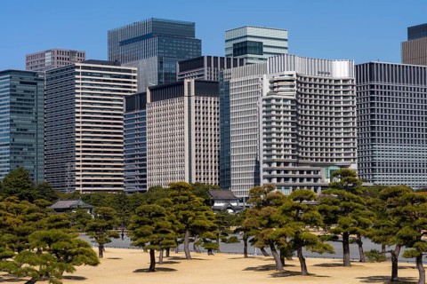 View of trees and skyscrapers, Kokyogaien National Garden, Chiyoda, Tokyo Prefecture, Tokyo, Japan