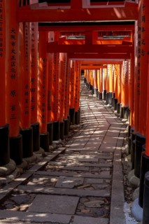 Torii Way in Fushimi Inari-Taisha, Fushimi-ku, Kyoto, Kyoto Prefecture, Japan