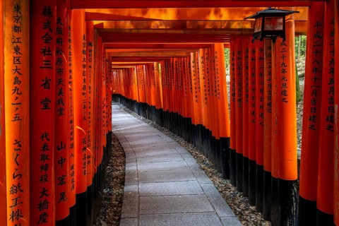 Torii path in Fushimi Inari-Taisha, Lantern, Fushimi-ku, Kyoto, Kyoto Prefecture, Japan