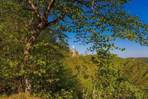 Lichtenstein Castle, fairytale castle of Württemberg, romantic fairytale castle on the eaves of the