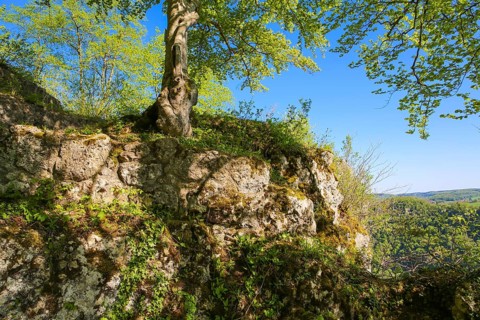 Ruin of Alter Lichtenstein near Lichtenstein Castle, eaves of the Swabian Alb, trees, deciduous