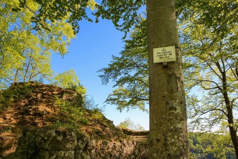 Sign, information board, Alter Lichtenstein ruins near Lichtenstein Castle, eaves of the Swabian