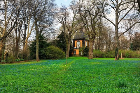 Scilla, blue stars and primroses in a meadow, Lindener Bergfriedhof with kitchen garden pavilion,