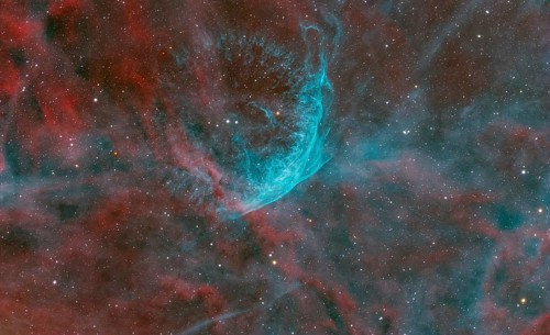 WR134, a variable Wolf-Rayet star in the constellation Swan