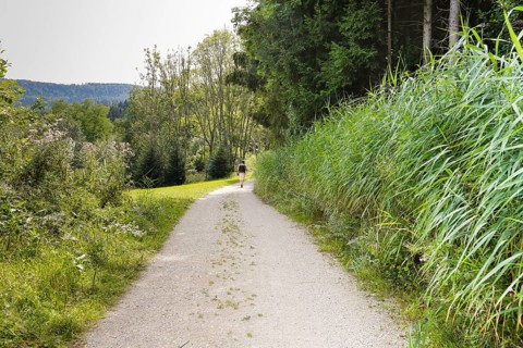 Hiking, man with rucksack, field path from Junginger Gieß, gravel path, trees, reeds, nature,