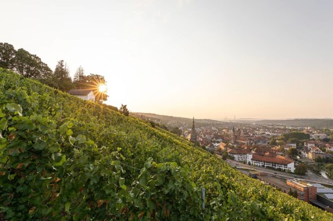 Sunrise over the vineyards of Esslingen am Neckar