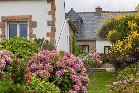 Residential house with lush planting, Ile de Bréhat, Département Côtes-d'Armor, Brittany, France