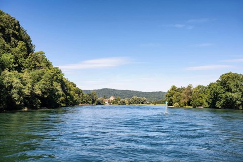 View over the Rhine, High Rhine surrounded by forests, Canton Thurgau, Switzerland