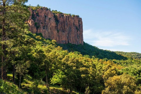 Gorge with red rocks, Gorges du Blavet, Bagnols-en-Forêt, near Saint-Raphaël, Massif de l'Esterel,
