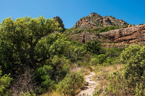 Rocher du roquebrune, Roquebrune-sur-Argens, near Saint-Raphaël, Massif de l'Esterel, Esterel
