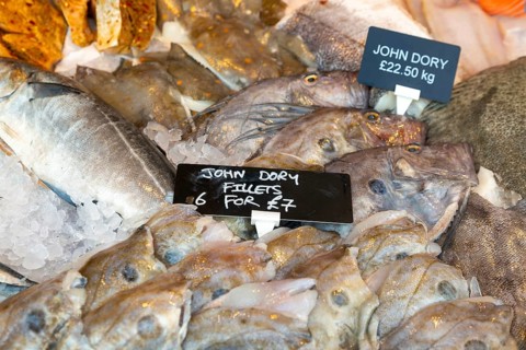 John Dory fish on ice in fishmonger shop window, Newton Abbot, Devon, England, UK