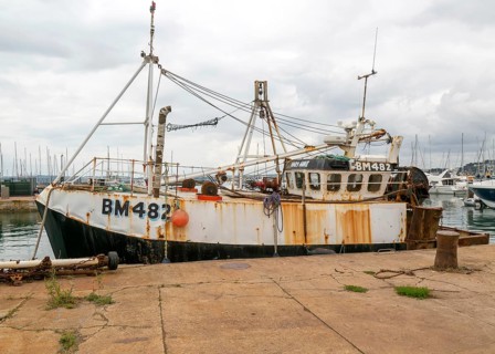 FV Mary Anne BM482 fishing vessel boat in harbour, Torquay, Devon, England, UK