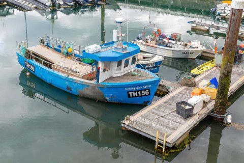 Fishing boats at moorings in harbour, Torquay, Devon, England, UK TH156 'Courageous Spirit'