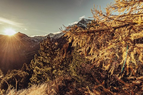 Autumn atmosphere in the Swiss Alps in the Engadine. Photographed from the village of Maloja on the