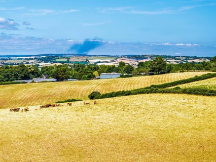 DefaultFarms and Fields over Torquay from a drone, Devon, England, United Kingdom