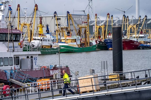 Fishing boats in Beatrixhaven, the seaport of Eemshaven, industrial harbour, at the quay,