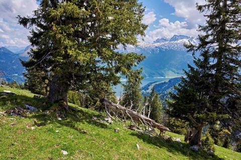 View of the snow-covered Alps and Lake Wägital, Canton Schwyz, Switzerland