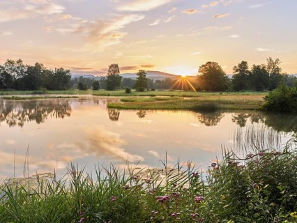 Sunrise at a pond in the Schoren nature reserve, Mühlau, Freiamt, Canton Aargau, Switzerland