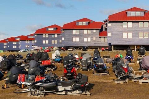 Sikdoos in front of coloured wooden houses, Longyearbyen, Spitsbergen, Svalbard