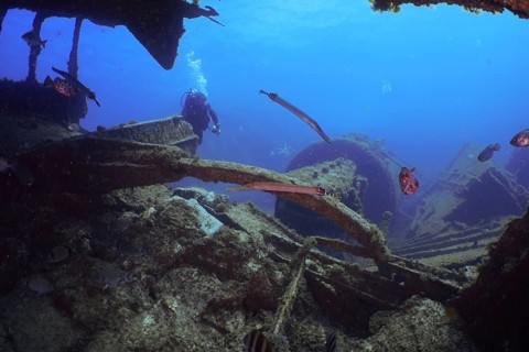 Diver exploring a shipwreck surrounded by fish in deep blue. Dive site Wreck of the Condesito, Las