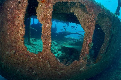 View through the large windows of a shipwreck under water in bright light. Dive site wreck of the