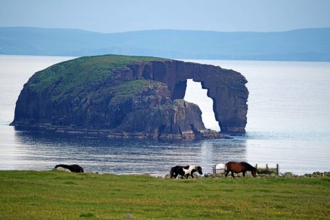 Coastal landscape with grazing horses and a striking rock formation in the background, Dore Holm,