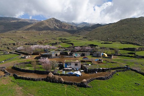 Small village amidst green hills and blossoming trees under a cloudy sky, village at the foot of