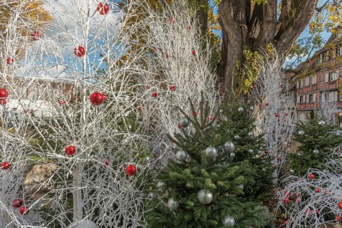 In a lively municipal park, white trees decorated with red and silver ornaments stand against a