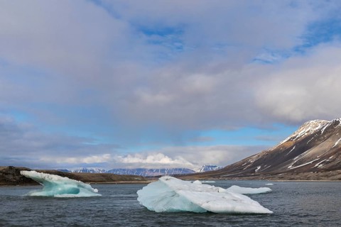 Ice floe drifting in the sea, bay, Recherchebreen, Spitsbergen, Svalbard
