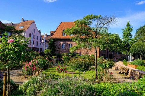 Rosengarten and Roman Museum Obernburg, am Main, Lower Franconia, Franconia, Germany