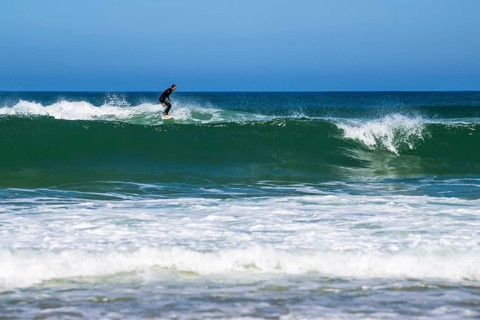 Surfer riding a wave on Contis beach, Saint Julien en Born, Saint-Julien-en-Born, Landes, France