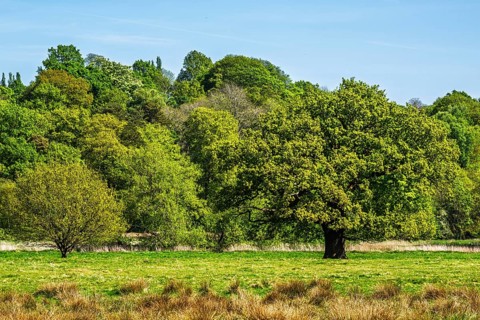 Shugborough Estate, National Trust House and garden, Great Haywood, Staffordshire, England, United