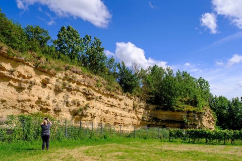 Weinheimer Trift natural monument, near Alzey, Rhine-Hesse region, Rhineland-Palatinate, Germany