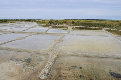 Seawater salt pans, Guerande, Loire-Atlantique, Pays de la Loire, Brittany, France