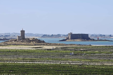 Oyster farm in the Atlantic at low tide and Chateau de Taureau fortress, Plouezoc'h, Bay of