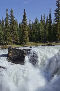Athabasca Falls waterfall, Athabasca River, Icefields Parkway, Jasper National Park, Alberta,