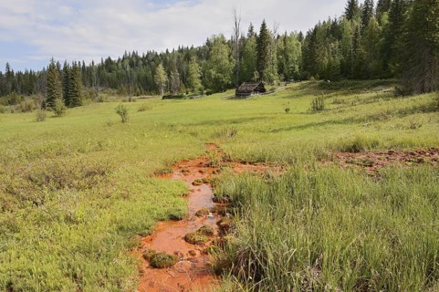 Mineral Springs, Wells Gray Provincial Park, British Columbia, Canada