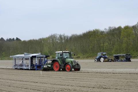 Flower bulbs being planted in a field with a tractor, South Holland, Netherlands