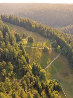 Hilly forest landscape with meadows and bright sunlight on paths, Retro Freizeitpark Poppeltal