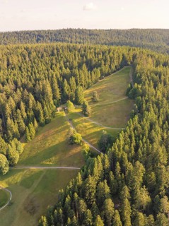 Wooded slopes and winding paths in warm light, surrounded by natural idyll, Retro Freizeitpark