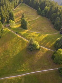 Aerial view of a sunlit forest slope with winding paths, Retro Freizeitpark Poppeltal