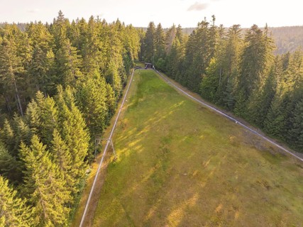 Green slope on the edge of the forest under a clear sky, with gentle paths, Retro Freizeitpark