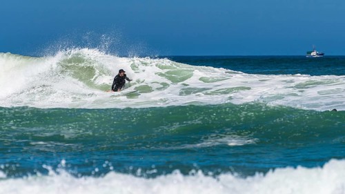 Surfer riding a wave on Contis beach, Saint Julien en Born, Saint-Julien-en-Born, Landes, France